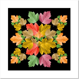 Colourful Leaves in Autumn Tree Leaf Deciduous Forest Trees Posters and Art